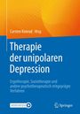 : Therapie der unipolaren Depression - Ergotherapie, Soziotherapie und andere psychotherapeutisch mitgeprägte Verfahren, Buch