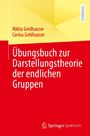 Nikita Geldhauser: Übungsbuch zur Darstellungstheorie der endlichen Gruppen, Buch