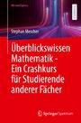 Stephan Mescher: Überblickswissen Mathematik - Ein Crashkurs für Studierende anderer Fächer, Buch