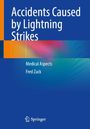 Fred Zack: Accidents Caused by Lightning Strikes, Buch