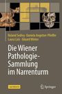 Roland Sedivy: Wiener Pathologie-Sammlung im Narrenturm, Buch
