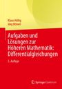 Klaus Höllig: Aufgaben und Lösungen zur Höheren Mathematik: Differentialgleichungen, Buch