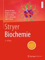 „Stryer Biochemie, 9. Auflage“, Liste von Autoren, Springer Spektrum Logo, abstraktes Molekül auf rotem Hintergrund.