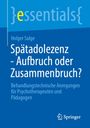 Holger Salge: Spätadolezenz - Aufbruch oder Zusammenbruch?, Buch
