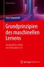 Gero Szepannek: Grundprinzipien des maschinellen Lernens, Buch