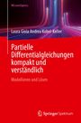 "Partielle Differentialgleichungen kompakt und verständlich" mit abstraktem buntem Hintergrund. Logo: Springer Spektrum.