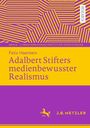 Felix Haenlein: Adalbert Stifters medienbewusster Realismus, Buch