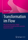 Alexander Bogner: Transformation im Flow. Gestaltung nachhaltigen Wandels mit SCALE-Modell. Logo von Springer Gabler.