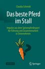 Claudia Schmidt: Das beste Pferd im Stall, Buch