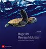 Sandra Striegel: Magie der Meeresschildkröten, Buch