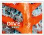 "DIVE 2027" in weißen Buchstaben auf einem leuchtend orange-roten Hintergrund mit blauen Korallen.