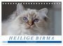 Michaela Münch: Heilige Birma Katzenkalender (Tischkalender 2024 DIN A5 quer), CALVENDO Monatskalender, KAL