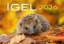 : Kalender Igel 2026 Eintragkalender, KAL