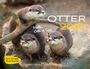Texte: „OTTER 2027“, „Molli, Olli & Sissi“, „MIT OTTER-FUN-FACTS“, „HEEL“. Drei Otter auf einem Ast.