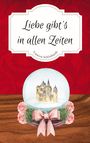 Text: "Liebe gibt's in allen Zeiten" und "Vanessa Schönhardt". Illustration mit Schneekugel, Schloss, Rosen und roter Schleife.