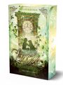 Sylvani Barthur: Lucie und das Kloster der Magie - Das Erwachen, Buch