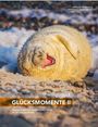 "GLÜCKSMOMENTE II" und "Begegnungen mit wildlebenden Tieren an der Nordseeküste". Eine glückliche, lächelnde Robbe im Sand.