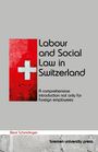 Beat Schmidinger: Labour and Social Law in Switzerland, Buch