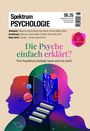 Titel: Spektrum Psychologie. Thema: Die Psyche einfach erklärt? Illustrative Silhouetten mit Treppe und Tür im Hintergrund.