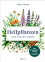 Birgit Frohn: Heilpflanzen und ihre Wirkstoffe, Buch