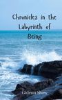 Gideon Shaw: Chronicles in the Labyrinth of Being, Buch