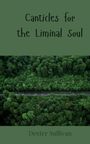 Dexter Sullivan: Canticles for the Liminal Soul, Buch