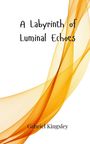 Gabriel Kingsley: A Labyrinth of Luminal Echoes, Buch