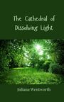 Juliana Wentworth: The Cathedral of Dissolving Light, Buch