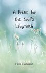 Finn Donovan: A Prism for the Soul's Labyrinth, Buch