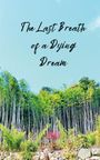 Simon Fairchild: The Last Breath of a Dying Dream, Buch