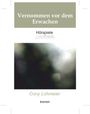 "Vernommen vor dem Erwachen", Hörspiele. Cony Lohmeier. Unscharfes Bild mit grünen und hellen Flecken. Engelsdorfer Verlag Logo.