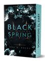 Ana D. Rocky: Black Spring - Das Licht in dir, Buch