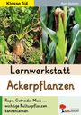 Axel Gutjahr: Lernwerkstatt Ackerpflanzen, Buch