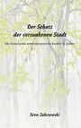 Sven Zakrzewski: Der Schatz der versunkenen Stadt, Buch