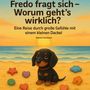 Manuel Gerlitsch: Fredo fragt sich - Worum geht's wirklich?, Buch