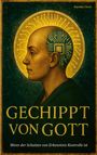 Gechippt von Gott - Wenn der Schatten der Erkenntnis Kontrolle ist, Buch