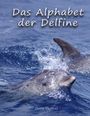 Doris Thomas: Das Alphabet der Delfine, Buch