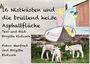 Brigitte Klotzsch: Sechszehn Nistkästen und die brüllend heiße Asphaltfläche, Buch