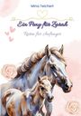 Mina Teichert: Ein Pony für Zarah, Buch