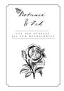 Stefanie Krauß: Botanik & Ich, Buch