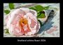 Tobias Becker: Strahlend schöne Rosen 2026 Fotokalender DIN A3, KAL