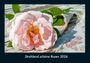 Tobias Becker: Strahlend schöne Rosen 2026 Fotokalender DIN A4, KAL