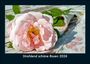Tobias Becker: Strahlend schöne Rosen 2026 Fotokalender DIN A5, KAL