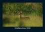 Tobias Becker: Waldbewohner 2026 Fotokalender DIN A5, KAL