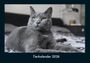 Tobias Becker: Tierkalender 2026 Fotokalender DIN A4, KAL