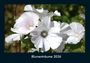 Tobias Becker: Blumenträume 2026 Fotokalender DIN A4, KAL