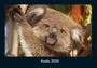 Tobias Becker: Koala 2026 Fotokalender DIN A4, KAL