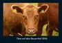 Tobias Becker: Tiere auf dem Bauernhof 2026 Fotokalender DIN A4, KAL