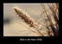 Tobias Becker: Blick in die Natur 2026 Fotokalender DIN A3, KAL