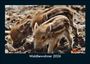 Tobias Becker: Waldbewohner 2026 Fotokalender DIN A5, KAL